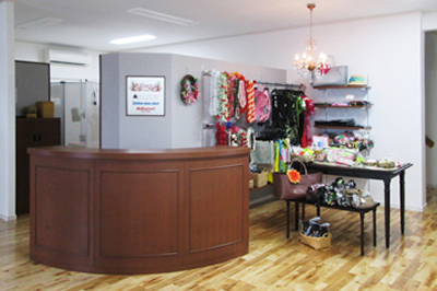 HULA & TAHITI STUDIO
